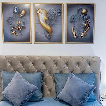 Cozy 아파트 브라쇼브